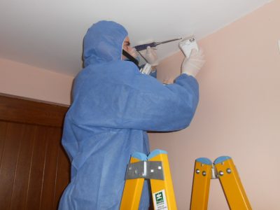 Asbestos Surveys Asbestos Surveys